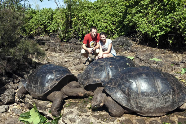 New Turtle Species In The Galapagos | Youngzine