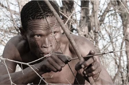 Bushmen: Tracing Human Ancestry | Youngzine