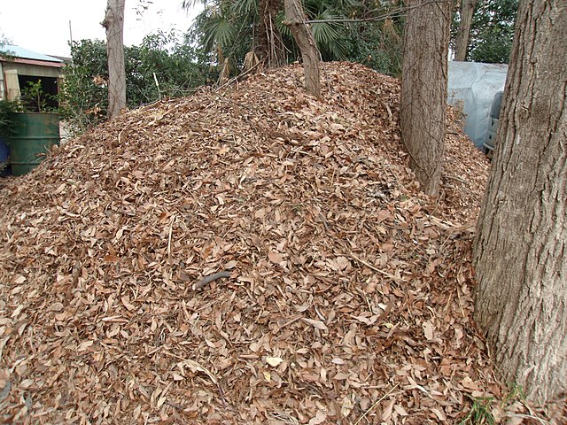 Woodchips - Wikipedia