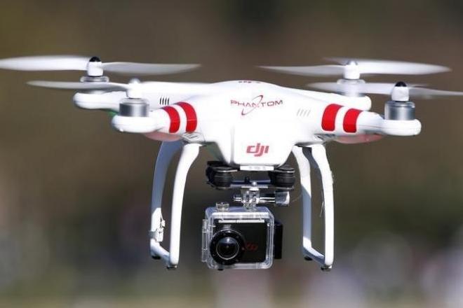 drone bee stinger