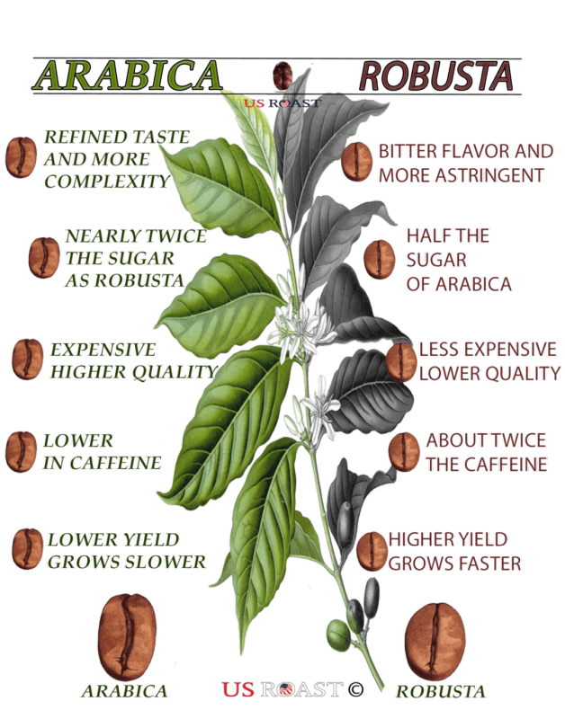 The Future Of Coffee In Trouble Youngzine Changing Ecosystems