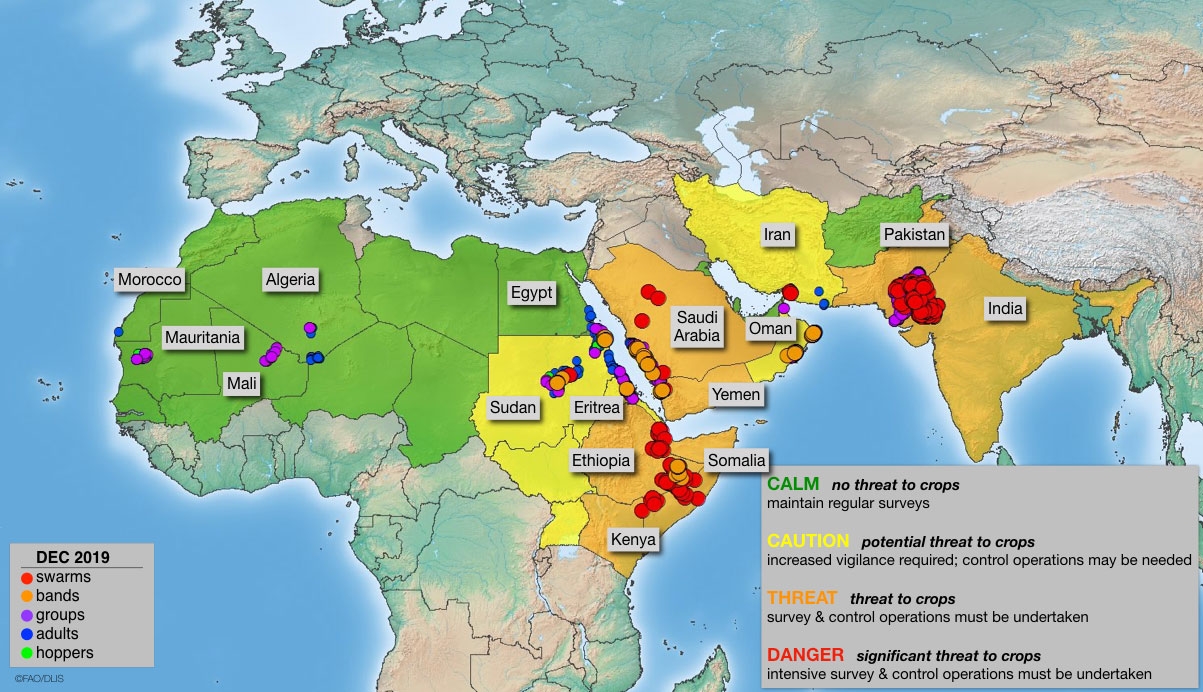 Map of locust swarms