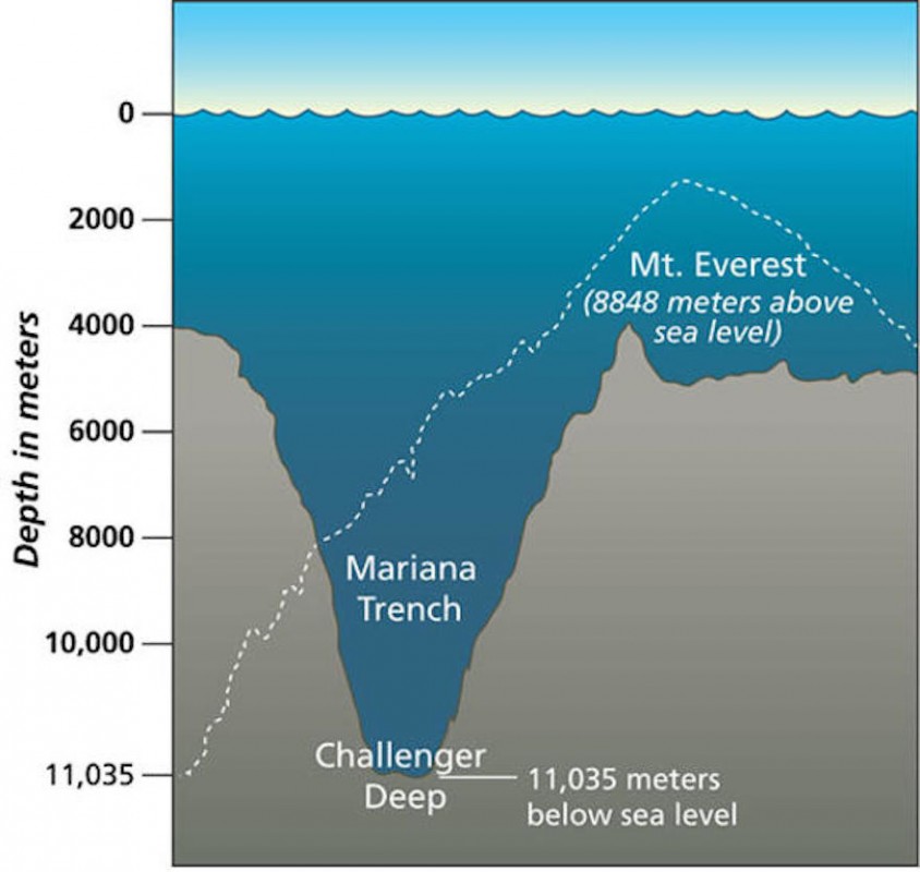 How Polluted Is The Mariana Trench Youngzine Changing Ecosystems   Mariana Depth 