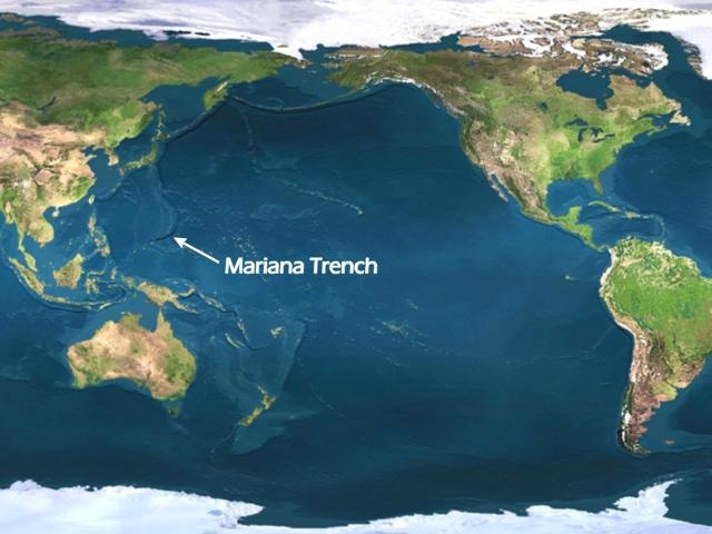 How Polluted Is The Mariana Trench Youngzine Our Earth   Mariana Trench 