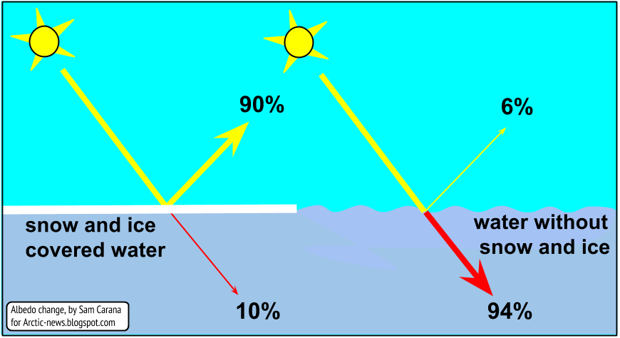 Water cover most of the earth surface