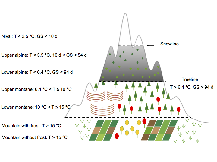 Treelines and Snowlines