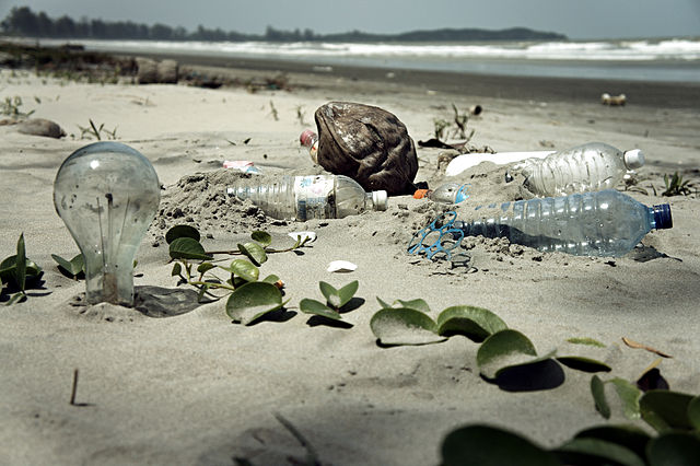 Pollution on the beach