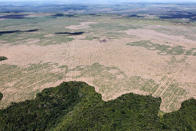 Ikrar Untuk Mengakhiri Deforestasi