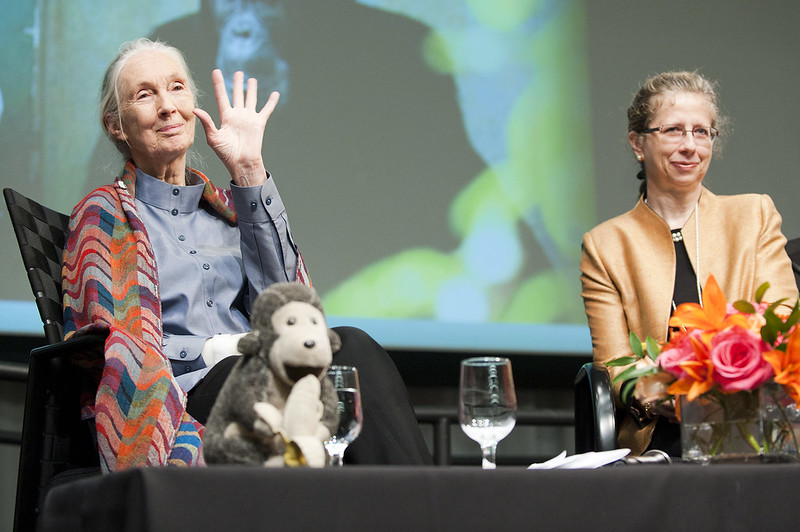 Pesan Harapan Jane Goodall