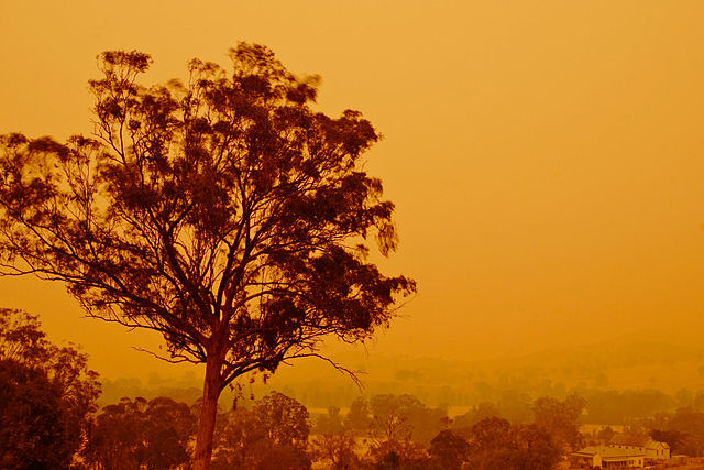 Bushfires