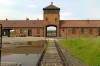Rail road into Auschwitz