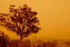 Bushfires in Australia