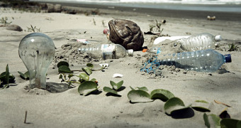 water pollution on the beach